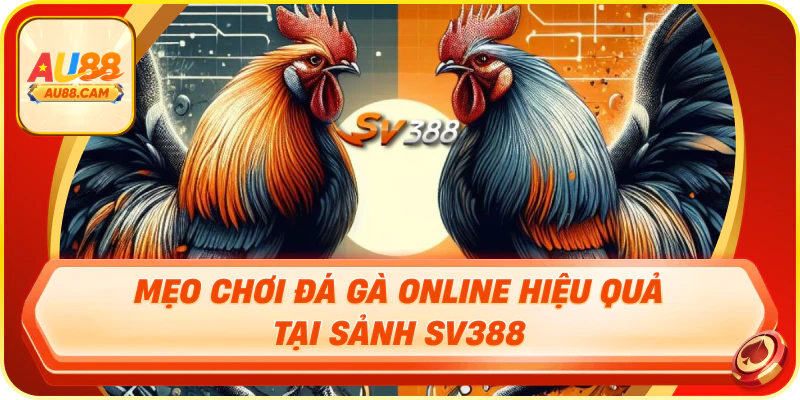 Mẹo chơi đá gà online hiệu quả tại sảnh sv388